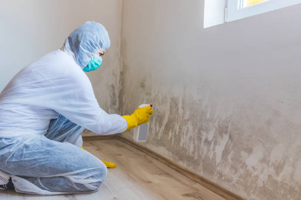 Mold Remediation specialist working in Sumerduck